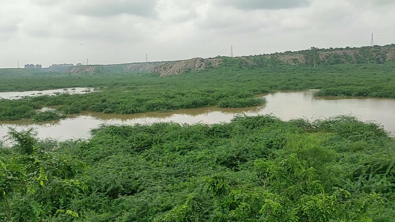 blog image